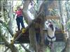 Escalada de Arboles (5)